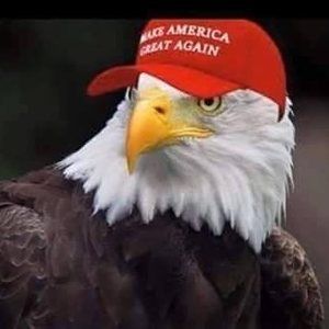 Meet your Posher, Kay